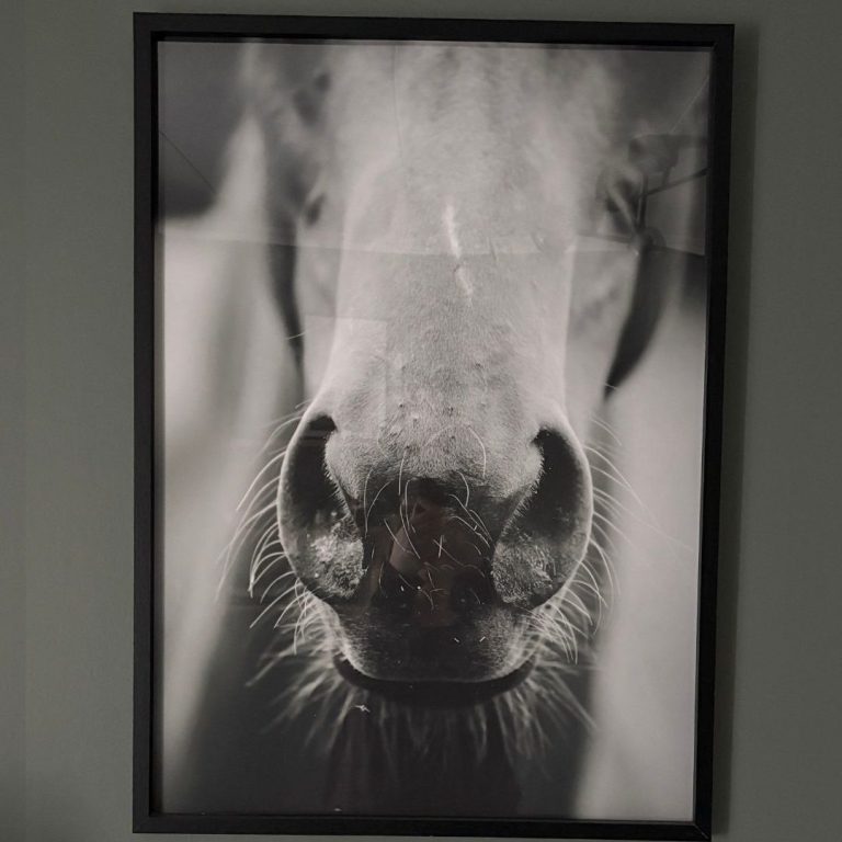 eviqes handgjorda posters med eget motiv